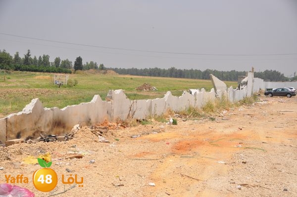 wallludshaneer509 (8).JPG